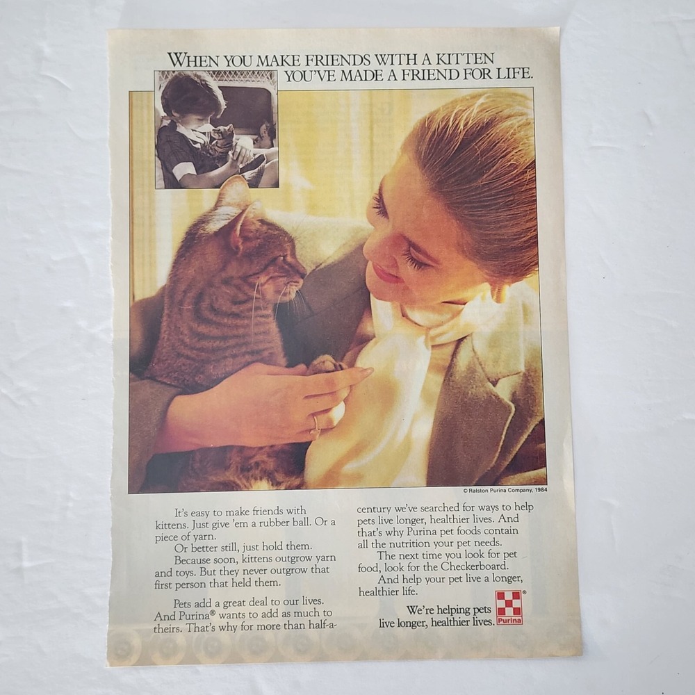 Vintage Print Ad PURINA model with gray tabby cat clipping 1985